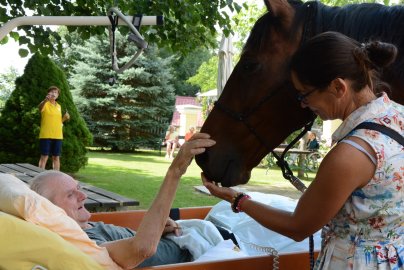 Terapeutický kůň na cestách za seniory